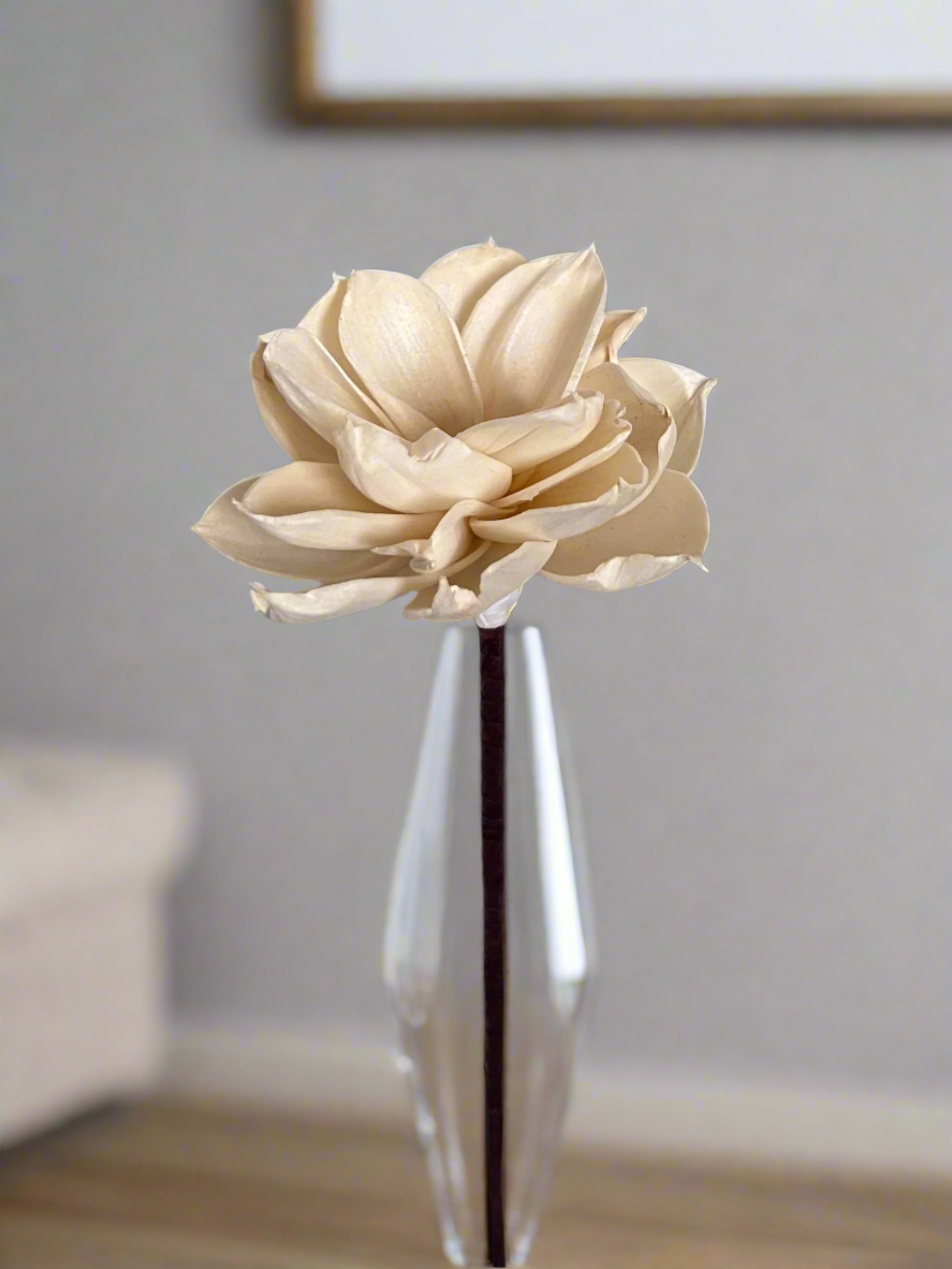 Dahlia with Stem