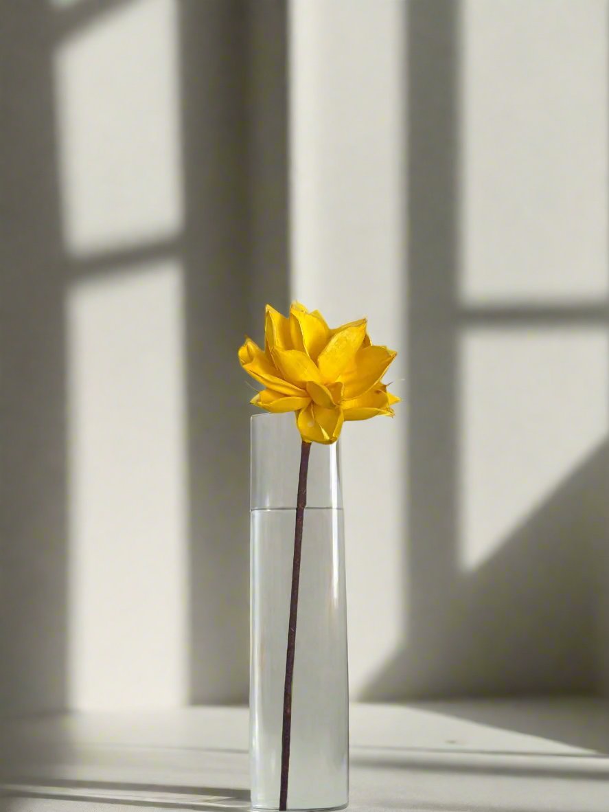 Dahlia with Stem