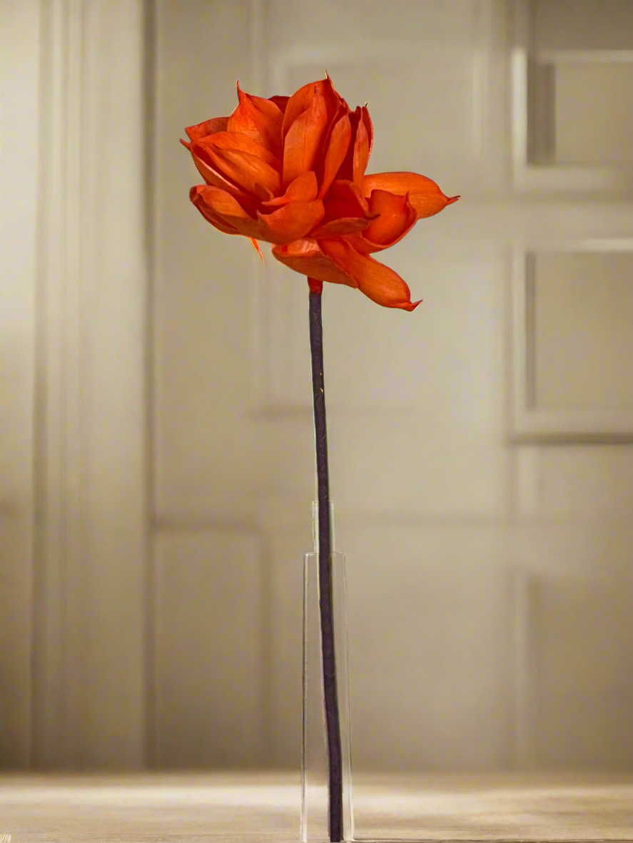 Dahlia with Stem