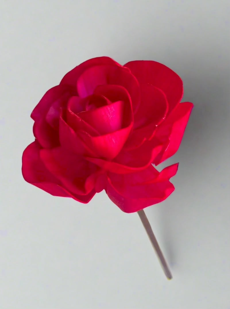 Peony with Stem