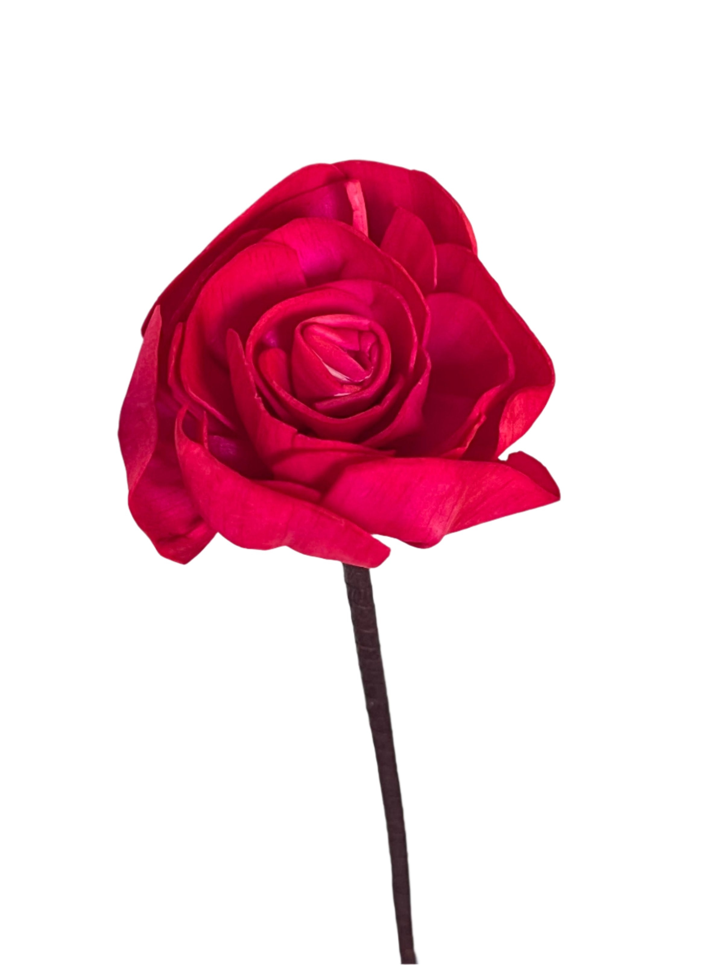 Peony with Stem