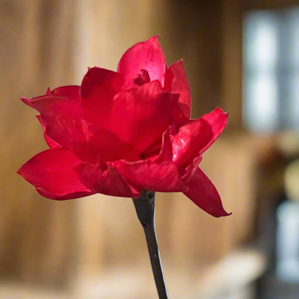 Dahlia with Stem