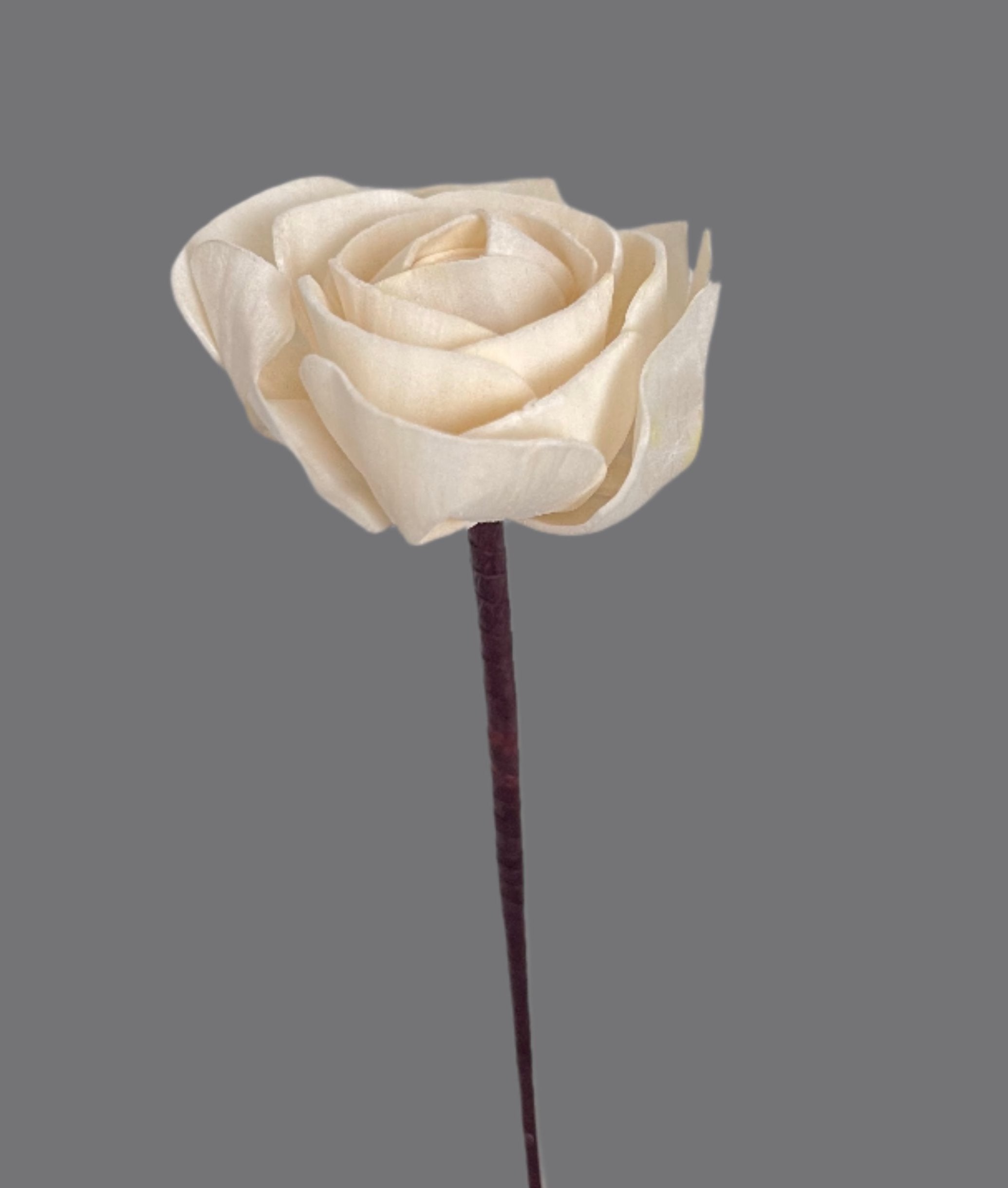 Peony with Stem
