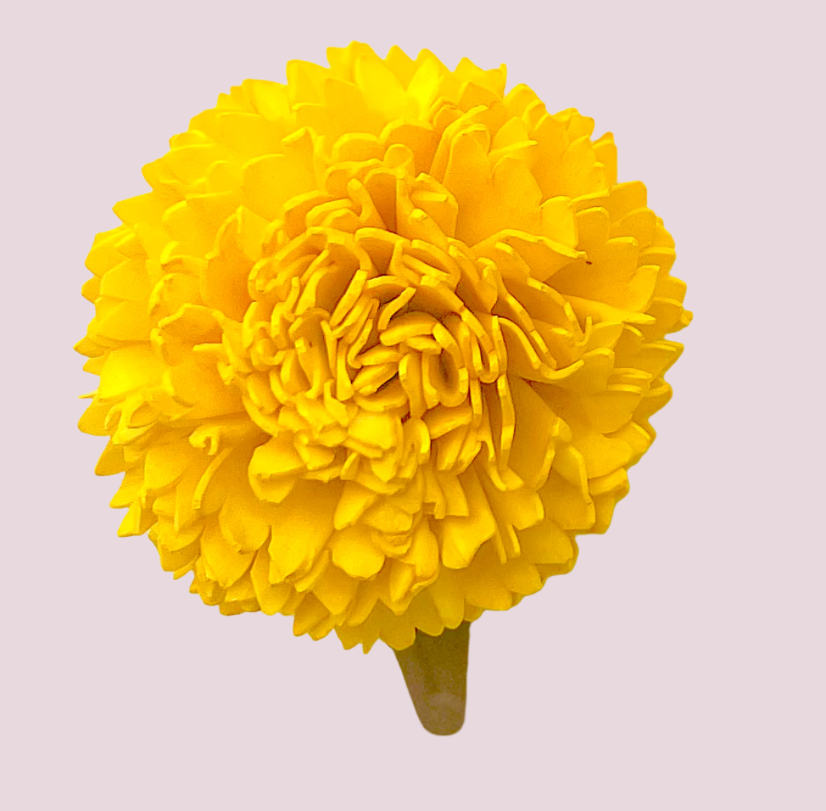 Carnation - Shola Flower Hair Clip