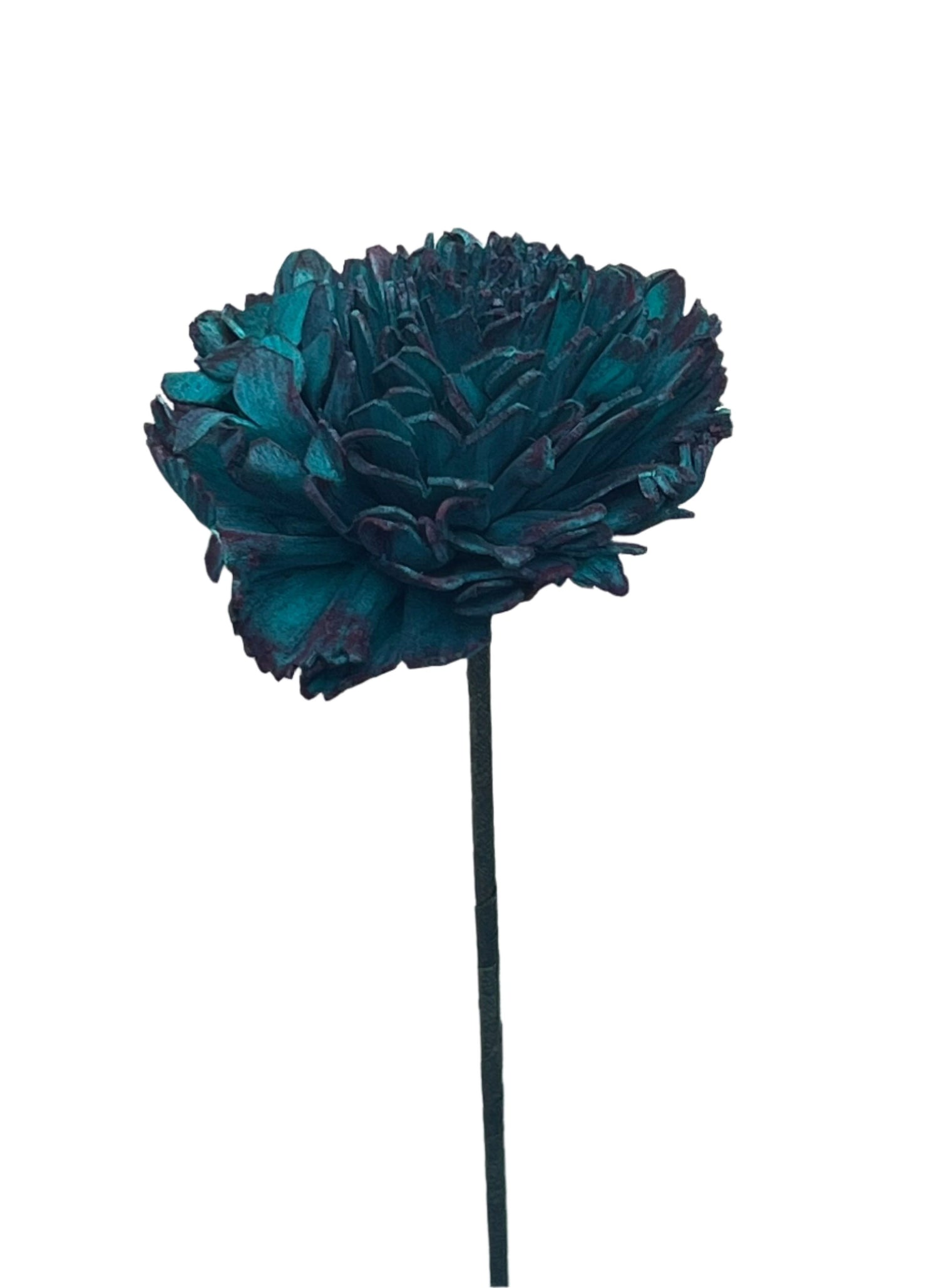 Carnation with Stem