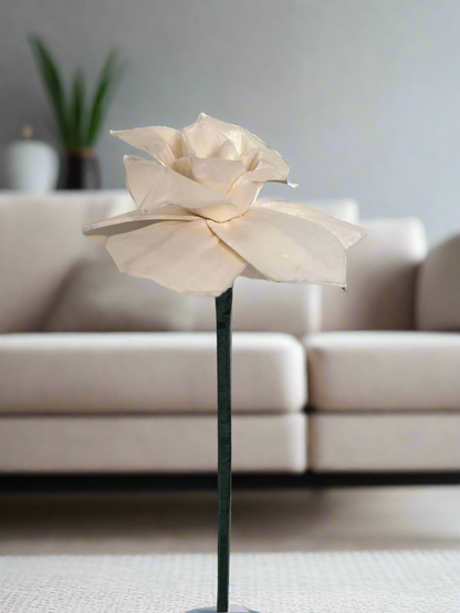 Magnolia with Stem