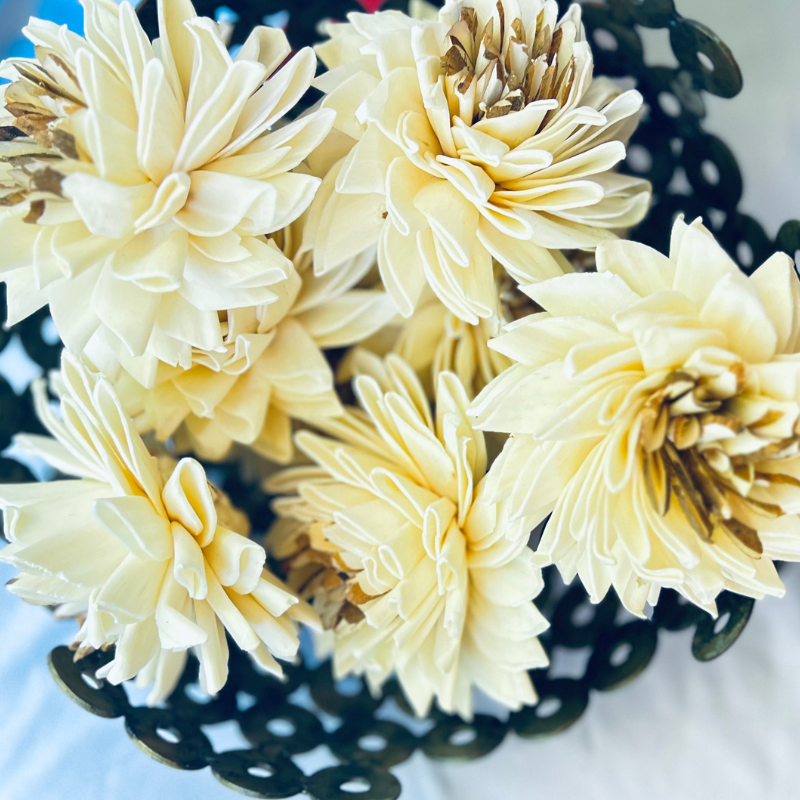 Chrysanthemum (Mums) - Wholesale